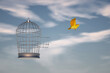 Canary flying off a bird cage to the sky.