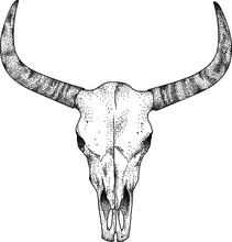 Creepy Bull Skull Design 