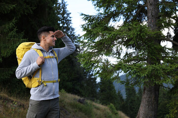 Wall Mural - Tourist with backpack in forest, space for text