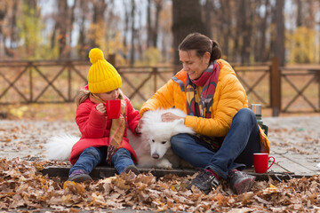 Wall Mural - mom and  child daughter walk with a dog and  drinking hot tea from thermos in autumn park.
