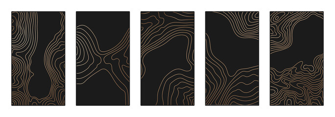 Wall Mural - contour lines on topographic maps, geographic map background. vector set of social media stories tem
