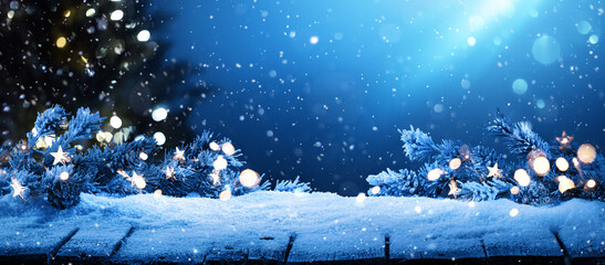 winter landscape with spruce branches