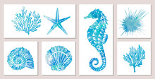 Set Of Sea Elements In Blue Watercolor Style: Seashells, Starfish, Seahorse, Coral. Composition Of Llustrations On Wall In White Frames