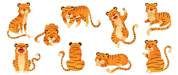 Wall Mural - Set of tigers in various poses. Wild predator animals cartoon vector illustration