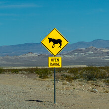 Donkey Crossing Warning Sign Along Highway 374 In Near Death Valley, California