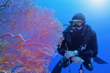 Man scuba diver and beautiful sea fan (gorgonia) coral