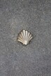 © Sophie BENARD - shell sign on the road to Saint Jacques de Compostelle