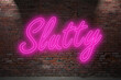 Neon Don't Sorry be Slutty lettering on Brick Wall at night