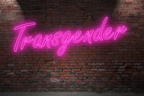 Fototapeta Młodzieżowe - Neon Tranny or Trans (in german Transe also Transgender) lettering on Brick Wall at night