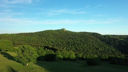 Sticker - Les forêts de pins et de sapins dans la campagne verdoyante en Europe, en France, en Ardèche, en été, lors d'une journée ensoleillée.