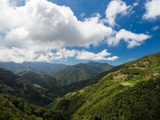 Wall Mural - Green mountain forest in Taiwan.