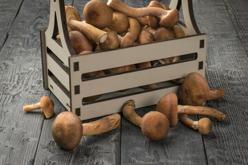 Wall Mural - Wild mushrooms in a gray wooden box on a black wooden table.