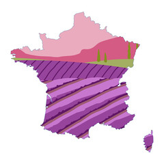map of france combined with lavender field. vector outline and silhouette map of france. fields of b