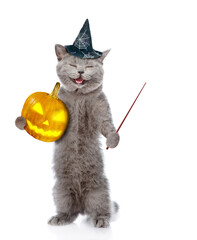 Canvas Print - Happy cat wearing hat for halloween holds pumpkin and points away on empty space. isolated on white background