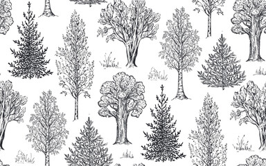 vector seamless pattern with hand drawn trees in sketch style