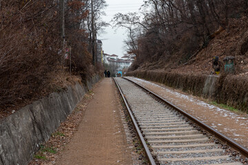 Sticker - Railroad in a park surrounded by dry plants