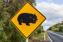 Wombat Crossing Sign Standing Beside Asphalt Road