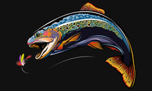 Rainbow Trout Jumping Out Water.Salmon Isolated On White Background. Concept Art For Horoscope, Tattoo Or Colouring Book.