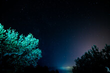 Low Angle View Of Silhouetted Trees Against The Sky At Night