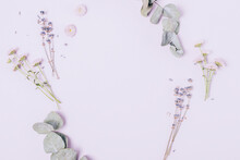 Herbs And Lavender Flowers On Purple Background