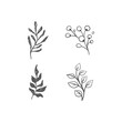 © Matias - Hand drawn floral ornaments. Branches and leaves doodle collection. Decorative plants illustrations.