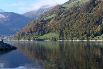 Poster - lungern ...automne