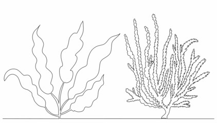 Wall Mural - seaweed drawing one continuous line vector