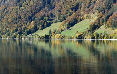 Sticker - lungern en automne