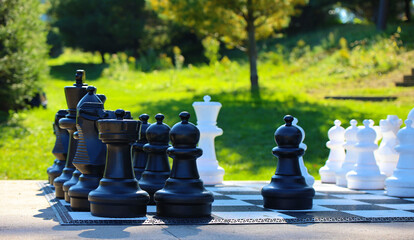 Poster - Scenic view of big chess pieces in the park