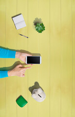 Wall Mural - Person using a smartphone with a piggy bank