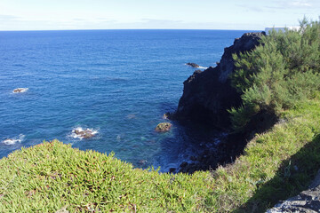 Wall Mural - rough wild nord coast of sao miguel