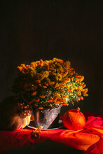 Bunch Of Beautiful Orange Chrysanthemum Flowers In A Pot, With Two Pumpkins On Dark Background; Concept Of Halloween Holidays