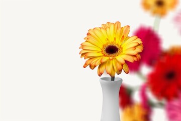 Poster - Autumn colorful flowers bouquet on the table.