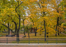Sightseeings In St. Petersburg. The Cabin Of Peter The Great, A Small Wooden House Between Yellow Autumn Trees