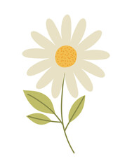 Wall Mural - nice daisy illustration