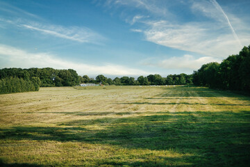 Poster - Scenic view of a green meadow with lush trees on a blue sky background