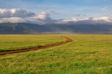  Red Dirt Road Curving Through The Grasses, Ngorongoro Crater, Tanzania, Africa