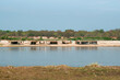 © marcos - abandoned fishing huts by the Araguaia River