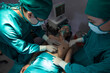 © sutthichai - Two Asian surgeons working together on a surgery in operation room.