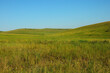 A field of tall grass in a picturesque valley surrounded by rolling hills under a clear summer sky.