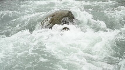 Wall Mural - A large stone in the middle of a mountain river, washed by a stormy, fast flow of water