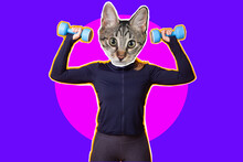 Zine Style Fit Woman With Cat Head Holding Dumbbells. Modern Design, Contemporary Art Collage. Inspiration, Idea, Trendy Urban Magazine Style. Sport, Healthy Lifestyle, Fitness Concept .