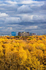 Sticker - yellow forest illuminated by sun, modern high-rise houses on horizon and dark blue rainy clouds in sky on autumn day before rain