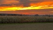 Ein Maisfeld ende Oktober bei Sonnenuntergang. Der Herbst und seine Farben.
Herbststimmung, Herbstfarben, Landleben, Urlaub