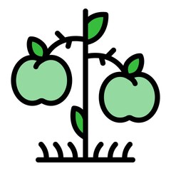 Poster - Apple tree producer icon. Outline apple tree producer vector icon color flat isolated