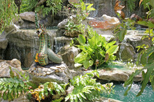 Stepped Manmade Waterfall With Large Rocks As Platforms For Planting Exotic Plants And Placing A Dragon Sculpture On, Manicured Tropical Garden In Southeast Asia