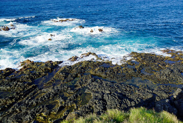 Wall Mural - rough wild nord coast of sao miguel