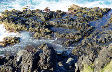 Wall Mural - rough wild nord coast of sao miguel