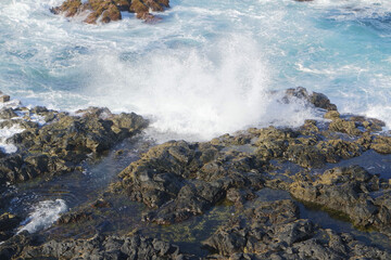 Wall Mural - rough wild nord coast of sao miguel