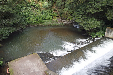 Wall Mural - waterfall on sao miguel island